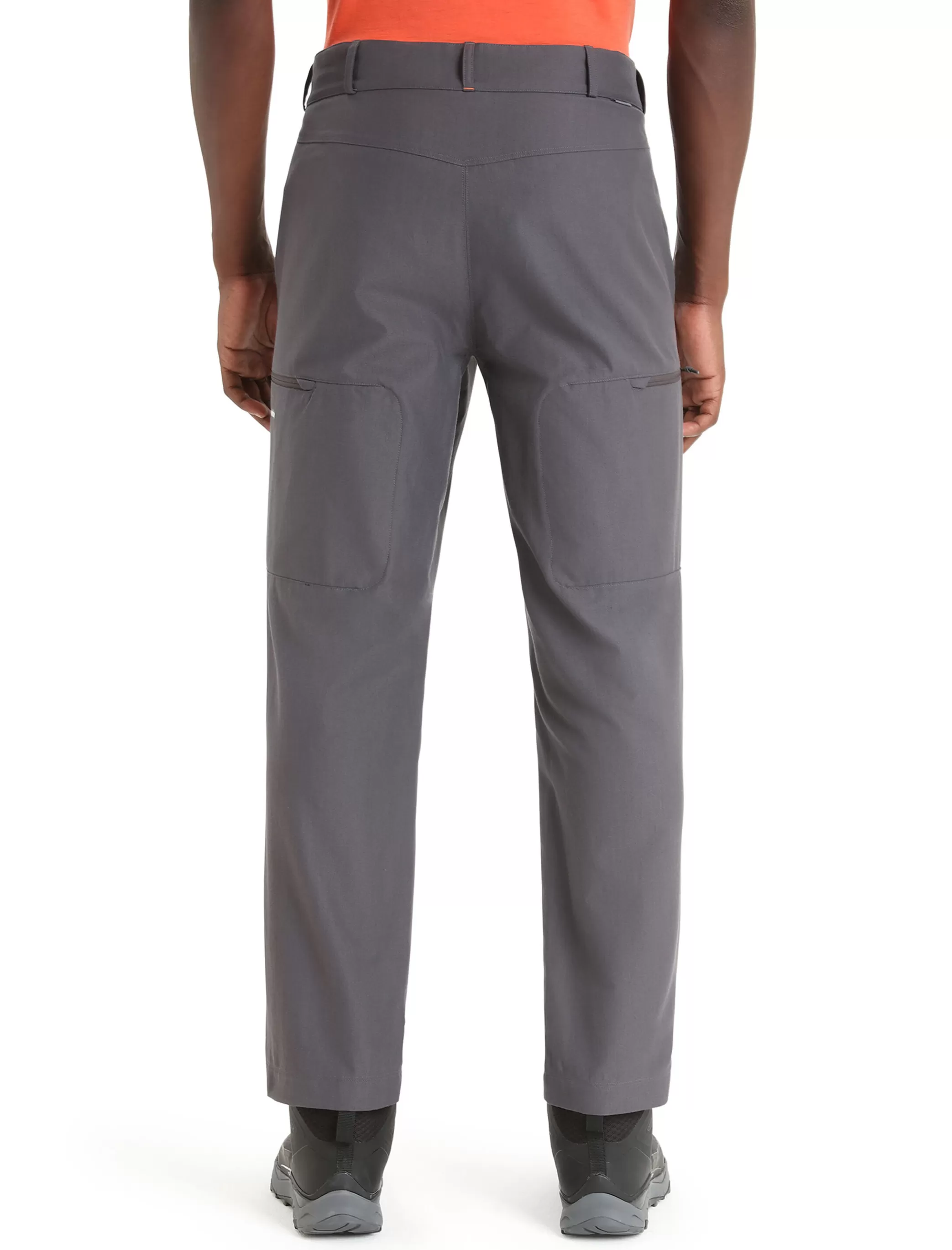 Shop icebreaker Men'S Merino Hike Pants Monsoon